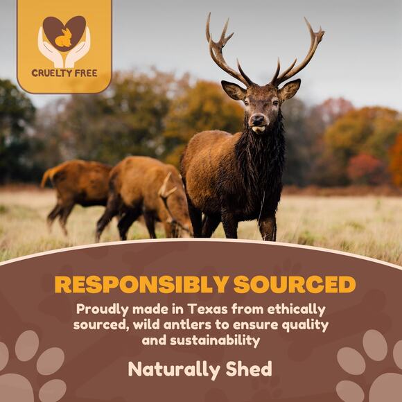 NWT WhiteTail Naturals Split Red Deer Antlers Medium Breed Dog Treats, 6 Count - Picture 7 of 8